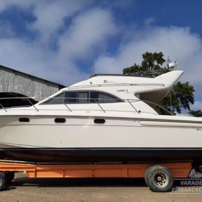 Santana 41