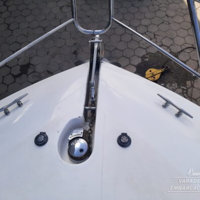 Santana 41